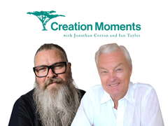 Do Christians Need Evolution?