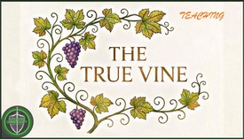 The True Vine Teaching 061325 with Michael W Smith