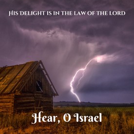 His Delight is in the Law of the Lord