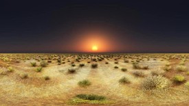 Blinded by the Light