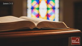 When Words, Plans, and Patience Meet God’s Will -