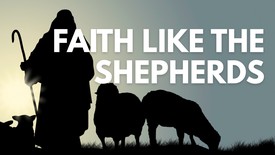 Faith Like the Shepherds | Your Nightly Prayer