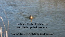 Healing Waters