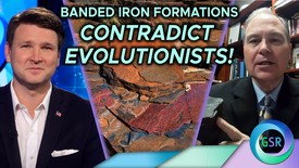 Geology Contradicting Evolutionists l David Rives and Tim Clarey on Genesis Science Report