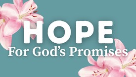 A Prayer of Hope for God's Promises to Be Fulfilled | Your Daily Prayer