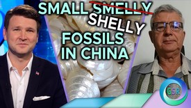Small Shelly Fossils in China l David Rives & Dr Andrew Snelling on GSR