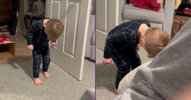 The Cutest Break-In You’ll Ever See