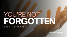 You’re Not Forgotten | Your Nightly Prayer