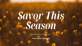 Prayer to Slow Down and Enjoy God’s Summer Blessings | Your Nightly Prayer
