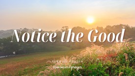 The Simple Power of Gratitude | Your Nightly Prayer