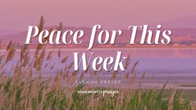 Grace for New Routines | Your Nightly Prayer
