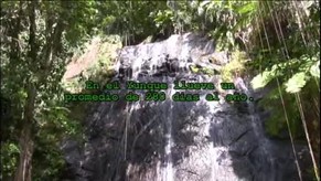 El Yunque 1