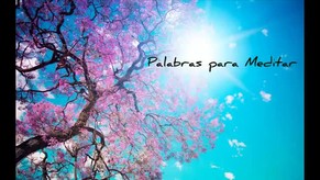 Palabras para Meditar