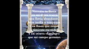 Poema: Labrador de Mi Campo