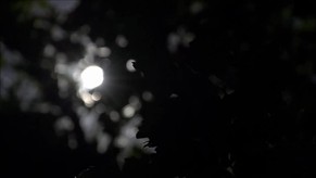 Light Into The Darkness