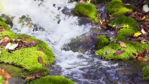 Jesus Sermon On The Mount Reading With Relaxing Music For Peace Comfort And Healing