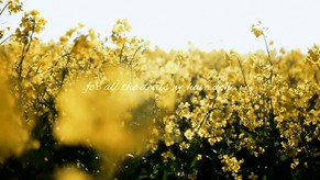 Amy Grant - Father's Eyes
