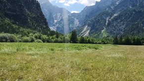 Nature at its Finest- Alexander Zingman