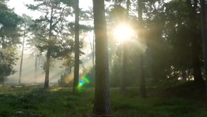 PSALM 23 KJV Audio/Visual Recording