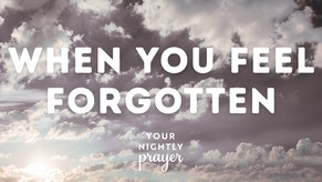 When You Feel Forgotten | Your Nightly Prayer
