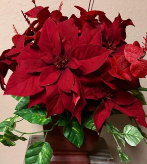 Blessing Heights Church A Vision Dec 19, 2025 During This Time