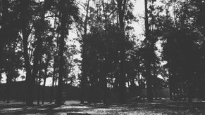 Music Video: Your Word Guiding Me