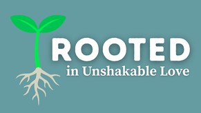 Rooted in Unshakable Love | Your Nightly Prayer
