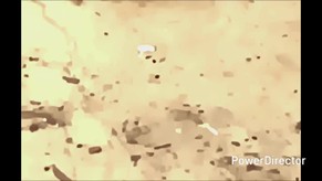 Make Our Way