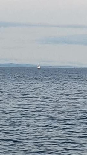 Sail Boat