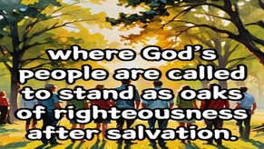 Audio4Bible：56 Titus ＜3＞⚡1189 @ WWHSS