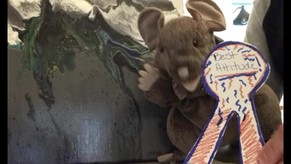 Adventures with Scout the Mouse: Good Attitude Matters! #kids #kindness #attitude #scripture #puppets #animals #cute