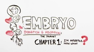 Embryo Donation  Adoption The Journey: Ch. 1 I'm Infertile! Now What?