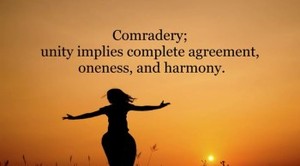 Xulon Press book  My Sheep Hear My Voice | Karen M. Michaud