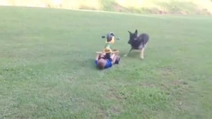 Cute and funny baby Animals video - Funny Baby videos for Kids