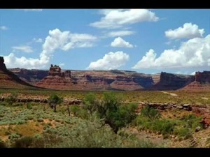 The Original Seed 1 - Des Walter