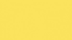 Interesting Facts About  National Tree of The USA