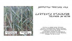 L'Artista Italiano - Simpatia Portami Via
