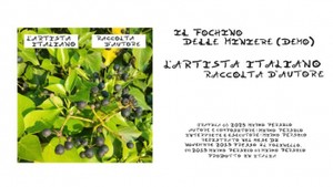 L'Artista Italiano - Il Fochino delle Miniere (Demo)