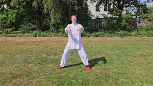 Yang 9 Tai Chi Form | Kenko Kempo Vitok Christian – Erich B. Ries
