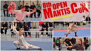 Mantis Cup | He Yong Gan Martial Arts in Competition