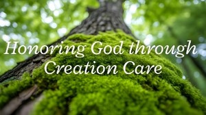 A Prayer for Honoring God through Creation Care | Your Daily Prayer