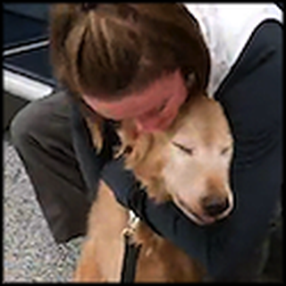 Mommy and Doggy Reunite After a Year Apart