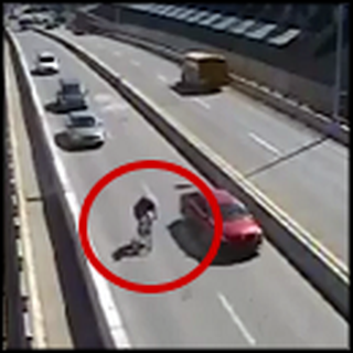 Good Samaritans Stop a Hit and Run Accident