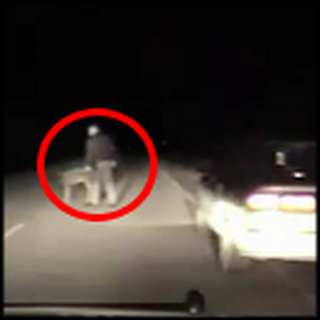 Police Officer Helps a Frightened Deer - So Heartwarming