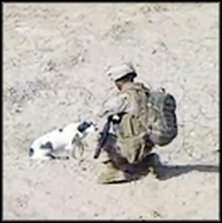 US Sergeant Rescues a Poor Puppy Trapped in a Fence