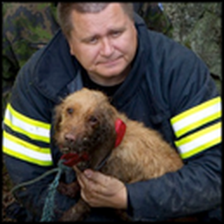 See How This Frantic Dog Stuck in Gorge Gets an Amazing Rescue