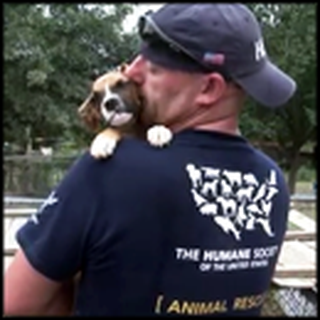 Adorable but Mistreated Puppies Get Rescued From a Puppy Mill