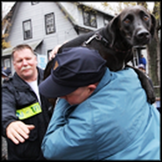 11 Awesome Photos of Animals Being Rescued in a Hurricane