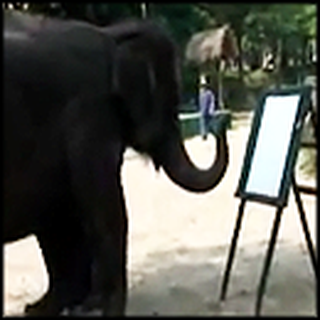 Special Elephant Paints Incredible Self Portrait