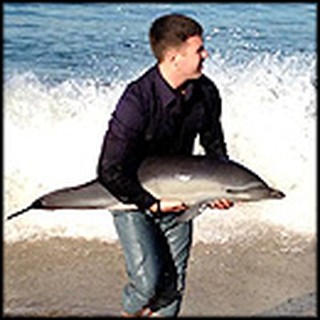 Heartwarming Rescue of a Beached Baby Dolphin